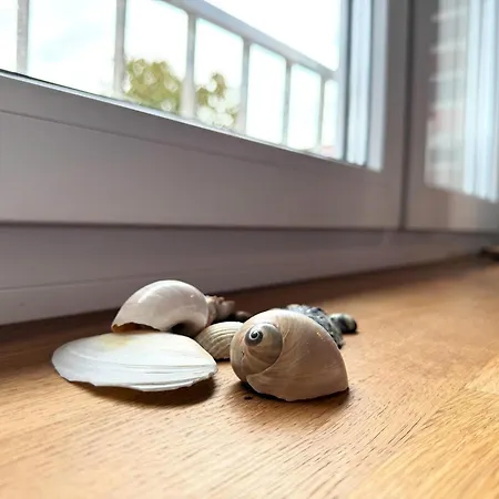 Alter Horst, App Moewe *